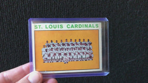 1964 St. Louis Cardinals Team Card - Busch Stadium (Sportsman's Park) Painting
